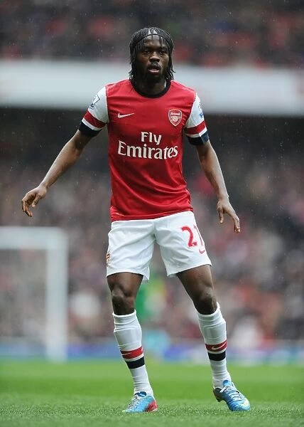 Arsenal vs Norwich City: Gervinho in Action at the Emirates Stadium (2012-13)