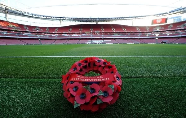 Arsenal vs. Tottenham: Remembrance Day Tribute at Emirates Stadium (2016-17)