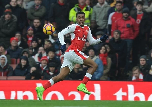 Arsenal's Alex Iwobi in Action against Hull City (2016-17)