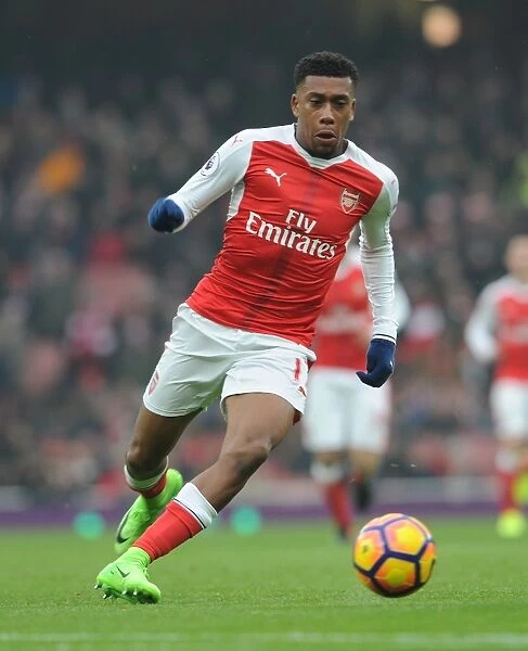 Arsenal's Alex Iwobi in Action against Hull City during 2016-17 Premier League Clash at Emirates Stadium