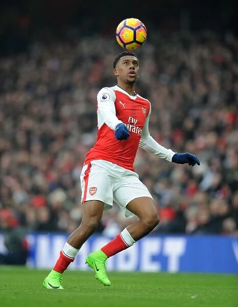 Arsenal's Alex Iwobi in Action against Hull City - Premier League 2016-17