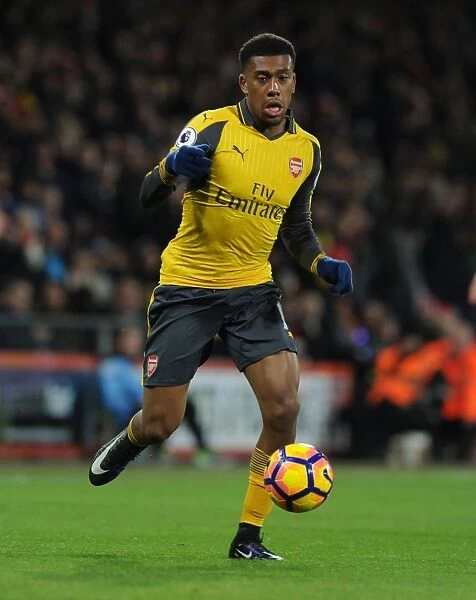 Arsenal's Alex Iwobi in Action during the Premier League Clash against AFC Bournemouth (2016-17)