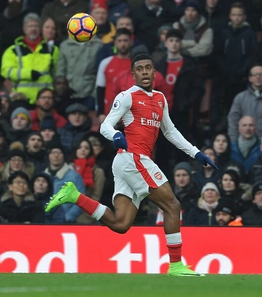 Arsenal's Alex Iwobi in Action During Premier League Clash Against Hull City (2016-17)