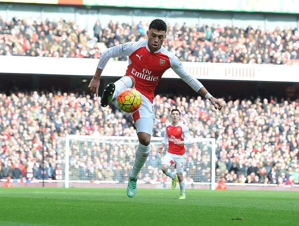 Arsenal's Alex Oxlade-Chamberlain in Action Against Leicester City (Premier League 2015-16)