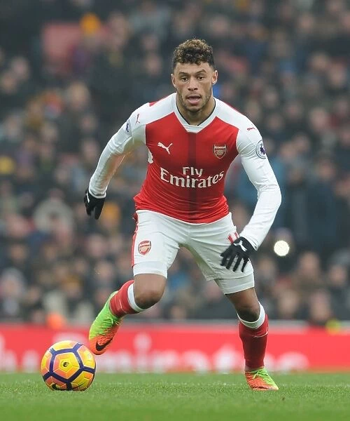 Arsenal's Alex Oxlade-Chamberlain in Action: Arsenal vs. Hull City (Premier League 2016-17)