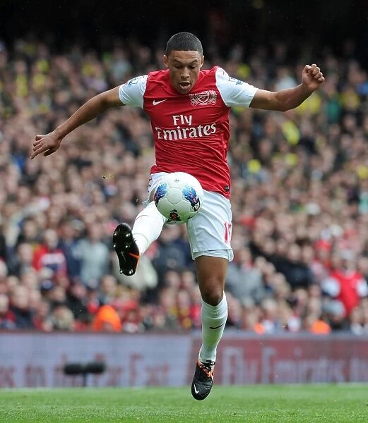 Arsenal's Alex Oxlade-Chamberlain in Action Against Norwich City, Premier League 2011-12