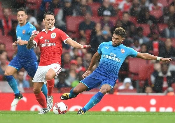 Arsenal's Alex Oxlade-Chamberlain Faces Off Against Benfica's Grimaldo in Emirates Cup Clash