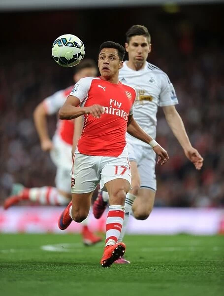 Arsenal's Alexis Sanchez in Action: Arsenal vs. Swansea City (Premier League 2014 / 15)