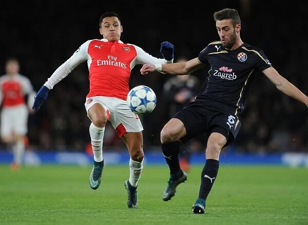 Arsenal's Alexis Sanchez Closes In Against Dinamo Zagreb