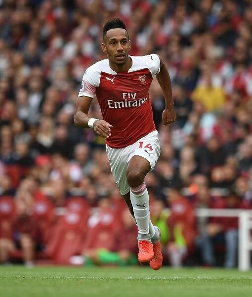 Arsenal's Aubameyang in Action Against Manchester City (2018-19)