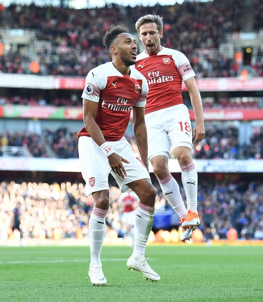 Arsenal's Aubameyang and Monreal in Ecstatic Goal Celebration (2018-19)