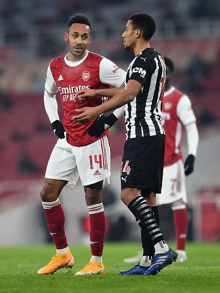 Arsenal's Aubameyang and Newcastle's Hayden in FA Cup Showdown