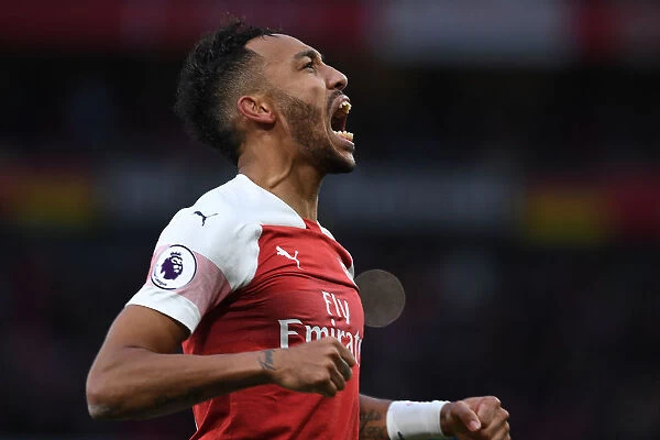 Arsenal's Aubameyang Scores Third in Thrilling Arsenal v Tottenham Clash (2018-19)