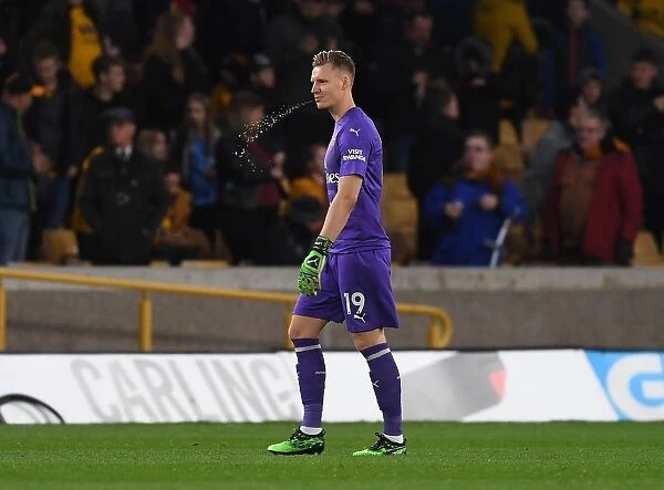 Arsenal's Bernd Leno in Action against Wolverhampton Wanderers in the Premier League (2018-19)