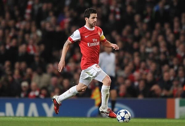 Arsenal's Cesc Fabregas Leads Team to 2-1 Victory over Barcelona in UEFA Champions League at Emirates Stadium