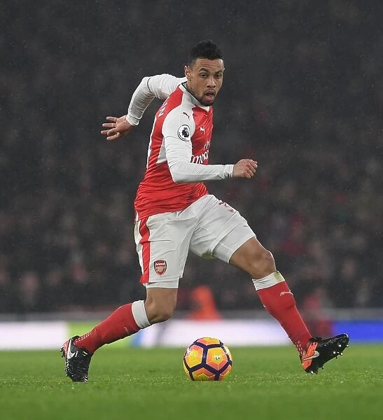 Arsenal's Coquelin in Action Against Watford - Premier League 2016-17