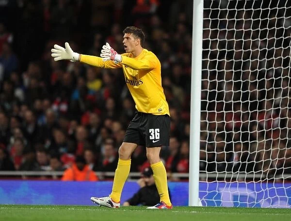 Arsenal's Damien Martinez in Action during Capital One Cup Match against Coventry City (2012-13)