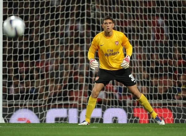 Arsenal's Damien Martinez in Action against Coventry City (2012-13 Capital One Cup)