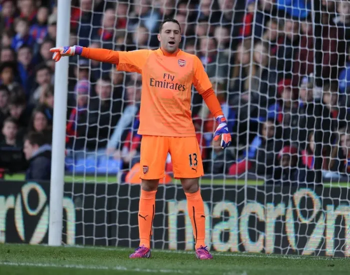 Framed Print : Arsenal's David Ospina in Action Against Crystal Palace (2014-15) Framed Print : Arsenal's David Ospina in Action Against Crystal Palace (2014-15)