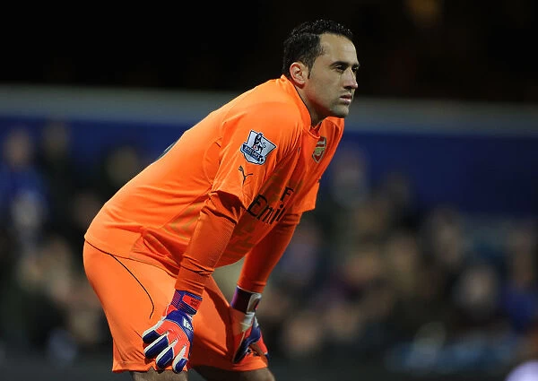 Arsenal's David Ospina in Action against Queens Park Rangers (2015)