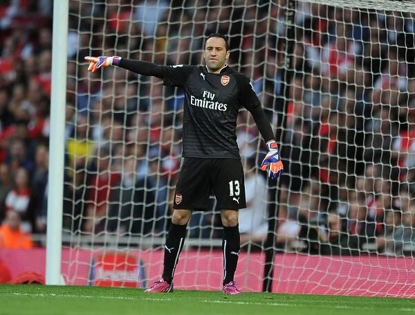 Arsenal's David Ospina in Action: Swansea City Clash, Premier League 2014-2015