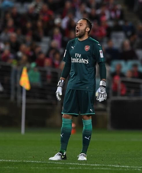 Arsenal's David Ospina in Action Against Sydney Western Wanderers (2017-18)