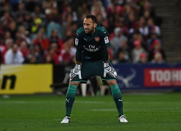 Arsenal's David Ospina in Action against Western Sydney Wanderers (2017-18)