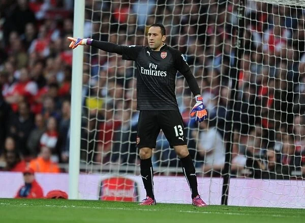 Arsenal's David Ospina in Focus: 2014 / 15 Season Match Against Swansea City
