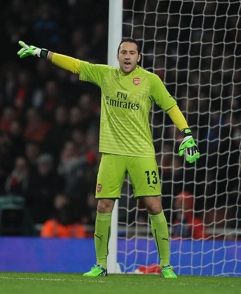 Arsenal's David Ospina Focused in FA Cup Clash Against Hull City