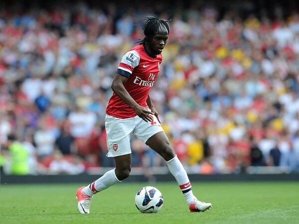 Arsenal's Dominant Victory: Gervinho Scores in Arsenal's 6-1 Rout Over Southampton (Premier League 2012 / 13)