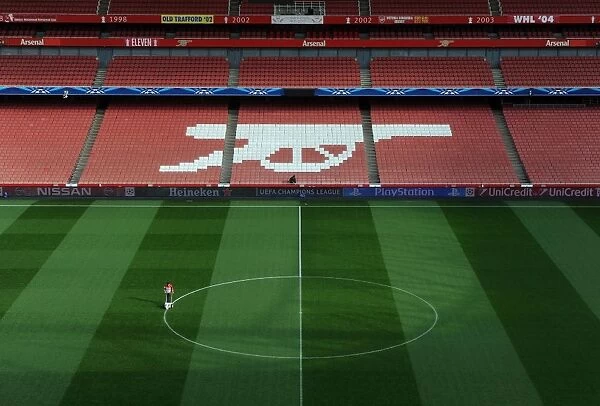 Arsenal's Emirates Stadium: A Closer Look at the Marked Pitch Ahead of Monaco Clash (2015)