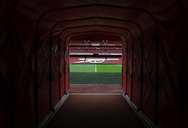 Arsenal's Emirates Stadium: Pre-Match Atmosphere vs Benfica (2014-15)