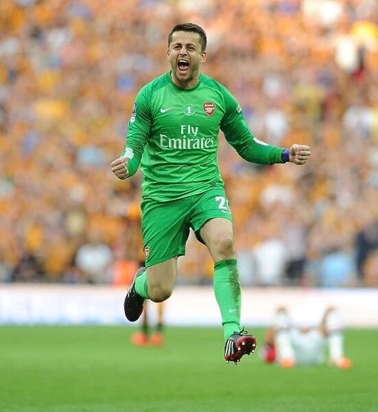 Arsenal's Emotional FA Cup Victory: Lukas Fabianski's Unforgettable Moment at Wembley