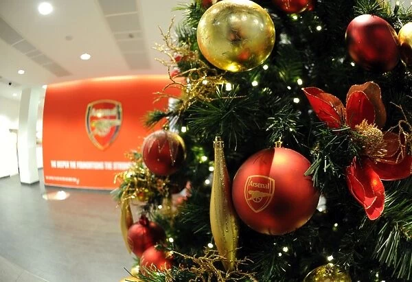Arsenal's Festive Emirates: A Warm Welcome with Christmas Trees (Arsenal v Hull City, 2013-14)