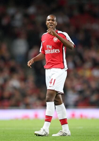Arsenal's Gavin Hoyte Shines: 6-0 Crushing of Sheffield United in Carling Cup