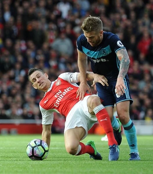 Arsenal's Koscielny Faces Off Against Middlesbrough's Clayton