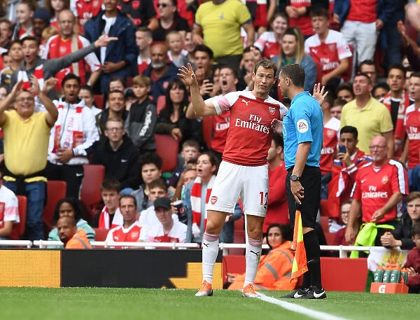 Arsenal's Lichtsteiner Argues with Linesman During Tense Arsenal vs. Manchester City Match (2018-19)