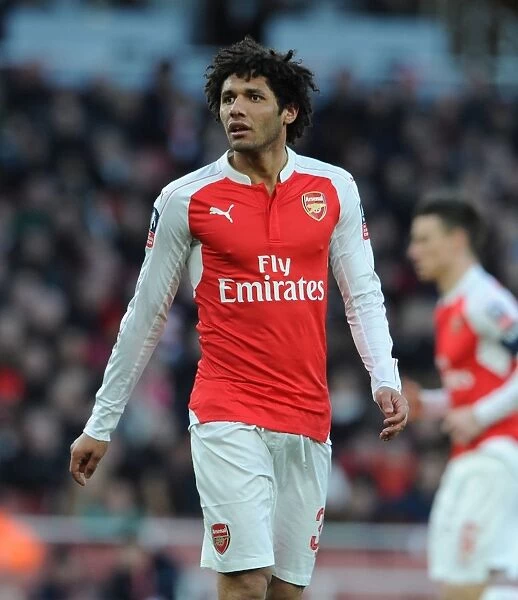 Arsenal's Mohamed Elneny in Action: Arsenal vs Burnley, FA Cup Fourth Round, The Emirates
