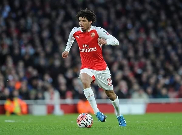 Arsenal's Mohamed Elneny in Action against Burnley, FA Cup 2016