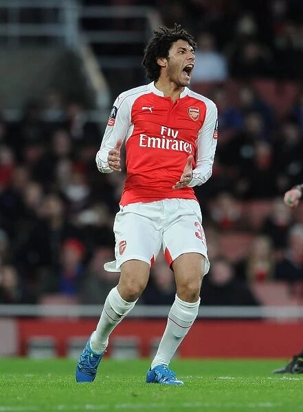 Arsenal's Mohamed Elneny in Action at Emirates Stadium during FA Cup Fourth Round Clash against Burnley, 2016