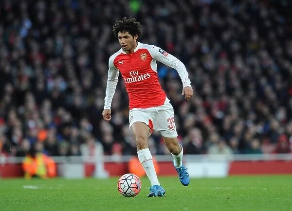 Arsenal's Mohamed Elneny in FA Cup Action vs Burnley (2016)