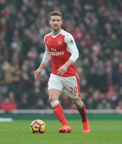 Arsenal's Mustafi in Action Against Hull City (Premier League 2016-17)