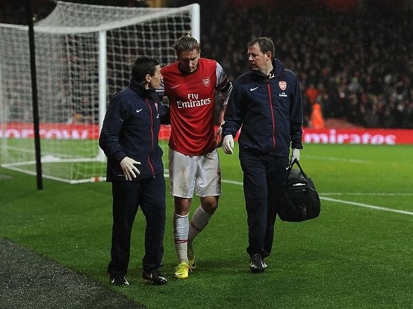 Arsenal's Nicklas Bendtner Receives Medical Attention During Arsenal vs. Cardiff City Match