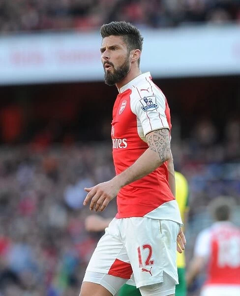 Arsenal's Olivier Giroud in Action Against Norwich City (2015-16)