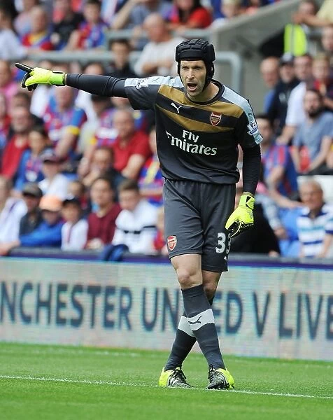 Arsenal's Petr Cech in Action: Crystal Palace vs. Arsenal (2015-16)