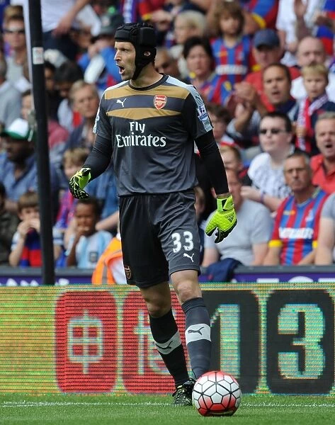Arsenal's Petr Cech in Action: Crystal Palace vs Arsenal (2015-16)