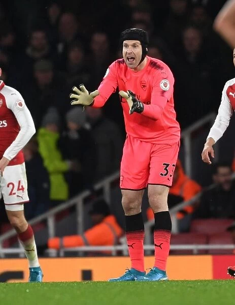 Arsenal's Petr Cech in Action Against Newcastle United (2017-18)