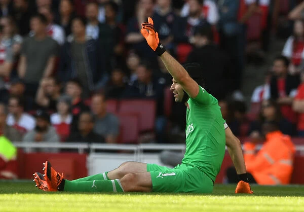 Arsenal's Petr Cech Signals Injury During Arsenal v Watford Premier League Match