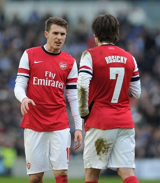 Arsenal's Ramsey and Rosicky in FA Cup Action against Brighton & Hove Albion