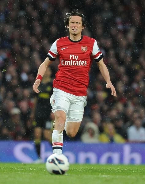 Arsenal's Rosicky in Action: Arsenal vs Wigan Athletic, Premier League 2012-13